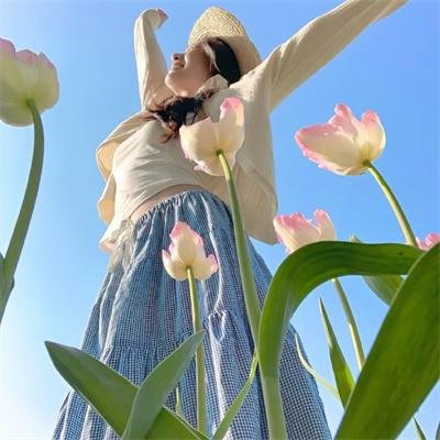 科扎拉之战封面